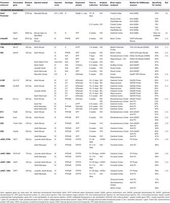 GABAergic Gene Regulatory Elements Used in Adeno-Associated Viral Vectors